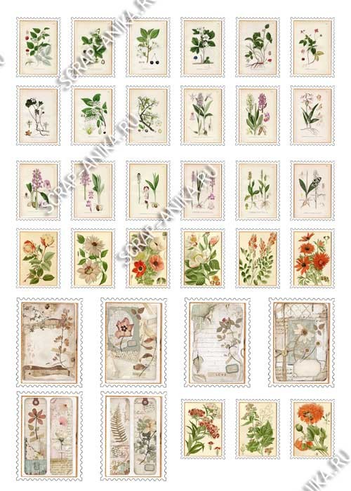 маленькие картинки, картинки для скрапбукинга, скрап картинки, скрапбукинг картинки, картинки ботаника