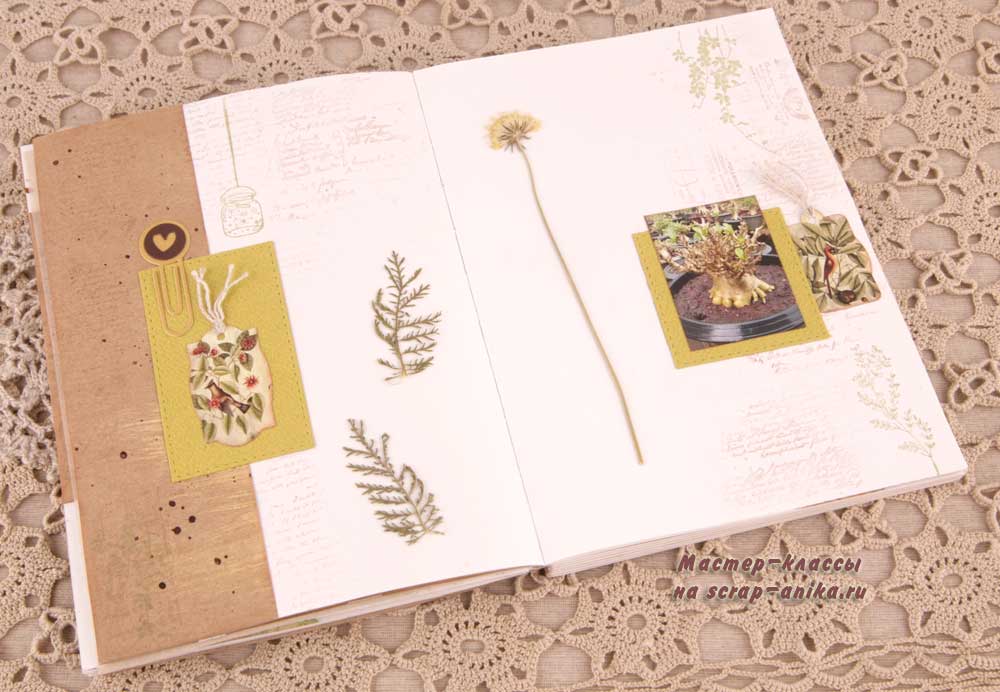 артбук, ботаничекский стиль, гербарий,как использовать гербарий, странички с гербарием
