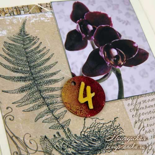 красивые орхидеи, дневник по орхидеям, скрапбукинг в ботаническом стиле, стиль ботаника