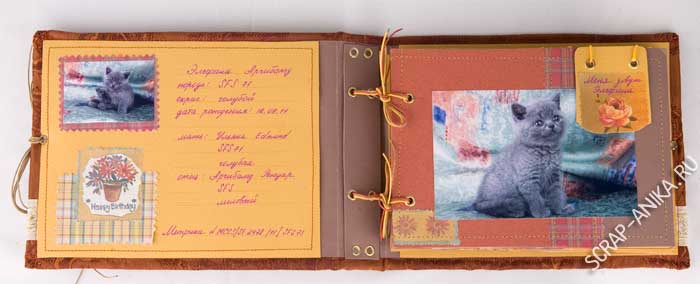 альбом, скрапбукинг