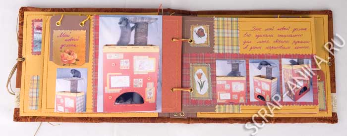 разворот, альбом, кошка, домик