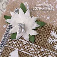 пуансеттия, адвент календарь