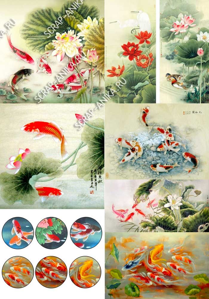 бумага с рыбками, рисунки рыбок, рисунки с рыбками, китайские рыбки