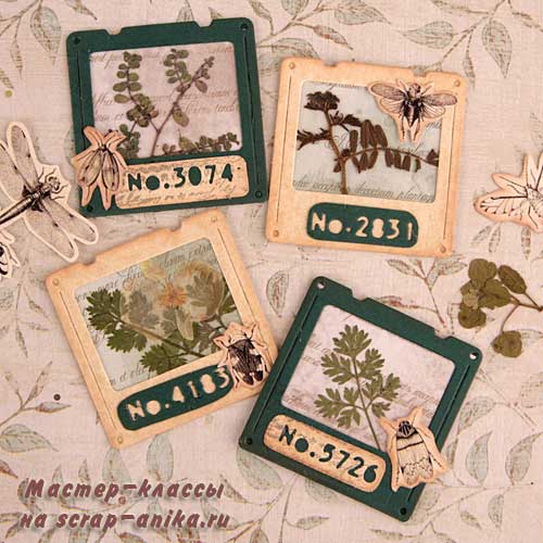 слайды для скрапбукинга, скрапбукинг слайды, слайды с гербарием, слайды для скрапа
