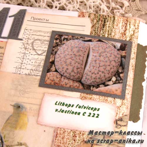 литопсы, каталог по литопсам, своими руками, скрапбукинг, для скрапбукинга