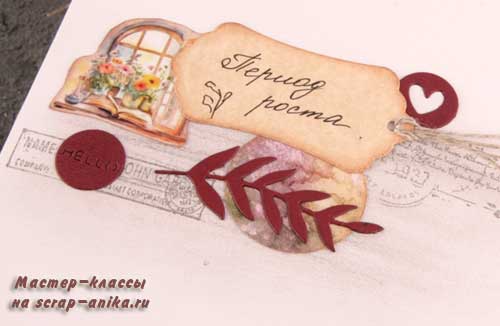 литопсы артбук, как поливать литопсы, справочник по литопсам