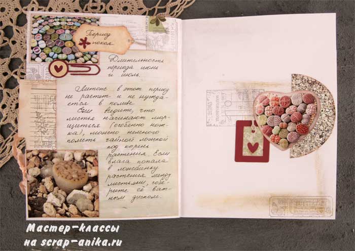 книга про литопсы, заметки про литопсы, статьи про литопсы, скрапбукинг литопсы