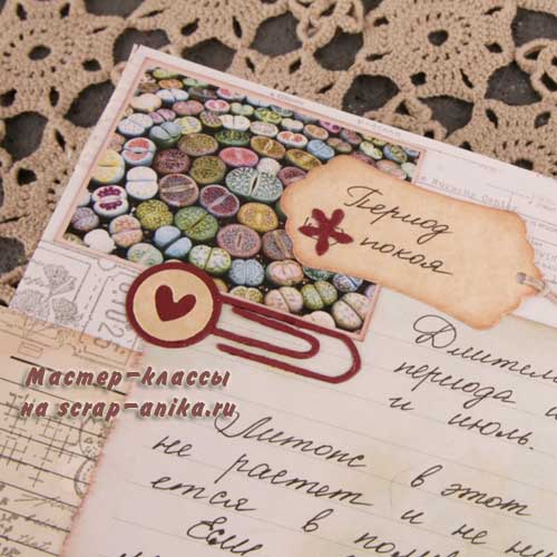 скрапдетали, скрапблокнот, про литопсы, полив литопсов, своими руками, книга, дневник натуралиста, справочник по литопсам