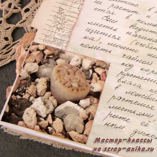 как поливать литопсы, скрапбукинг, ботанический стиль, полив литопсов