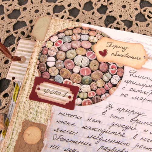 скрапбукинг, книга ручной работы, детали, как сделать