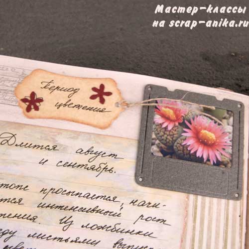 скрапбукинг, цикл жизни, литопса, артбук, своими руками