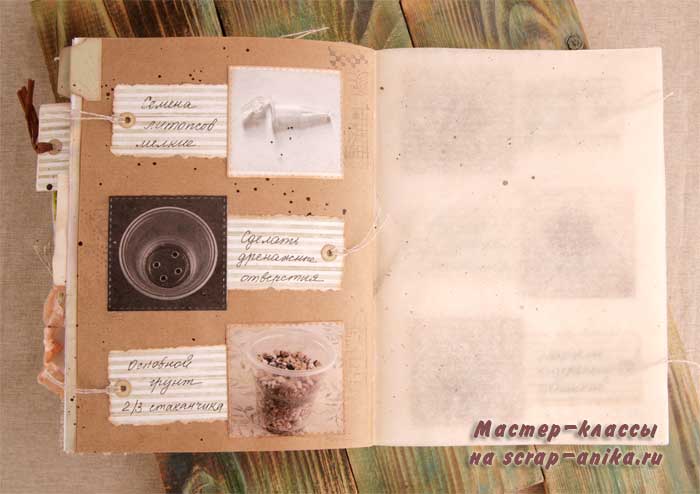 посадка итопсов, как сажать литопсы, скрапбукинг, артбук по литопсам