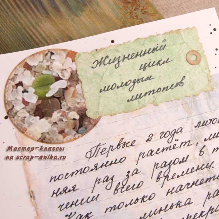 справочник по литопсам, литопсы скрапбукинг, артбук по литопсам, оформление страниц