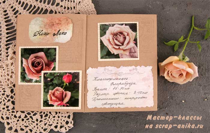 скрап, мастер классы, каталог по розам, своими руками