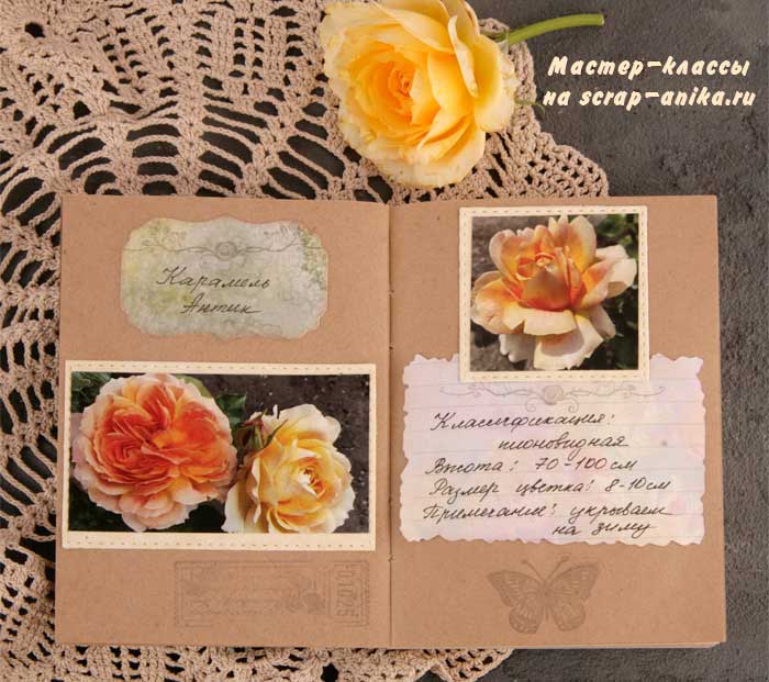 роза карамель антик, красивые розы, скрапбукинг, каталог по розам