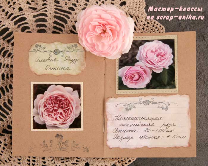 оливия роуз, скрапбукинг, скрап детали, каталог по розам, скрап, блокноты, ручная работа