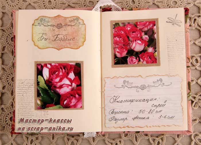 би бабблс, розы пузырьки, сорта роз шариками, розы шарики, красивые розы, каталог роз