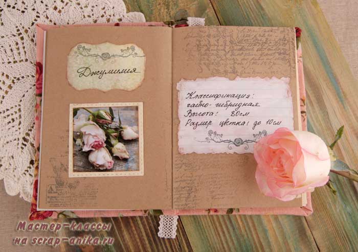 роза Джумилия, сорта роз, розы скрапбукинг, каталог роз, скрап детали, красивые розы