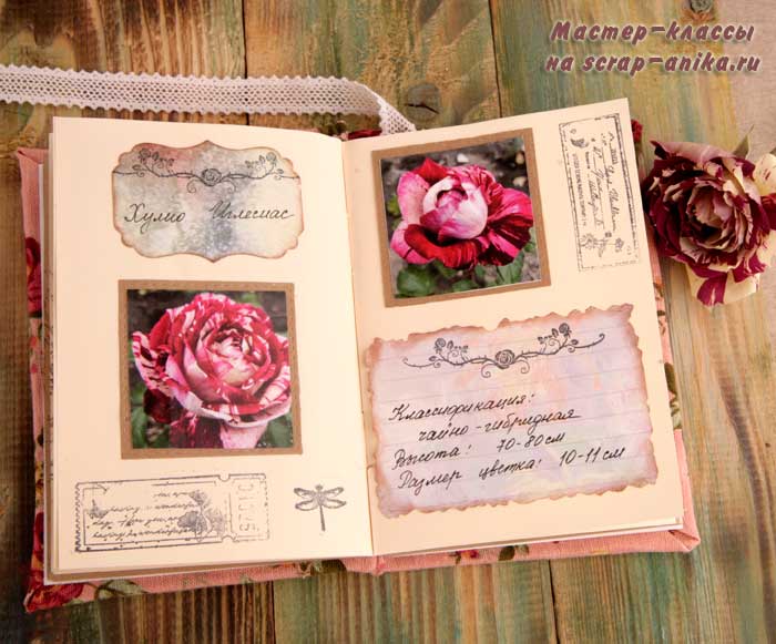 роза Хулио Иглесиас, скрапбукинг, скрап аника, каталог роз, блокнот по розам