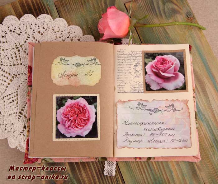 роза Лондон Ай, красивая роза, крупная роза