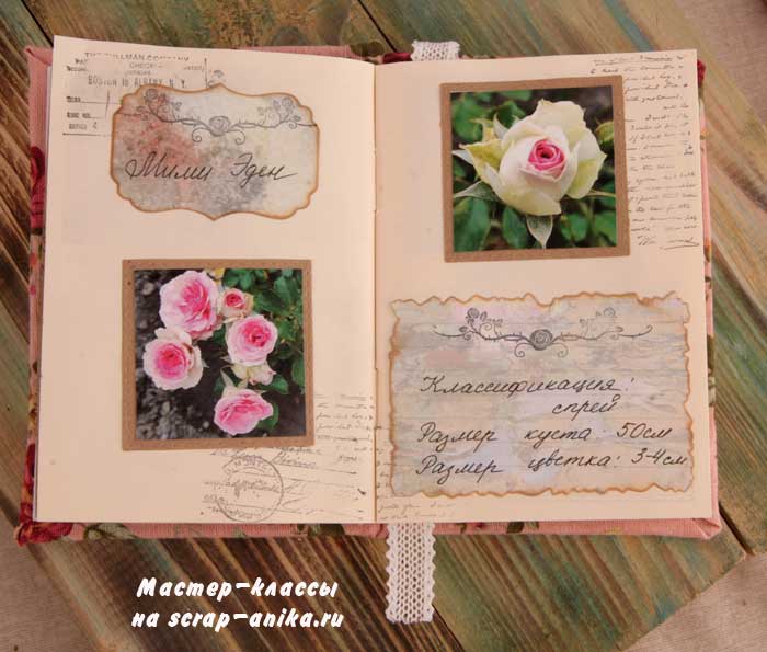 роза Скарлетт, почвопокровная роза, красивые розы, каталог роз