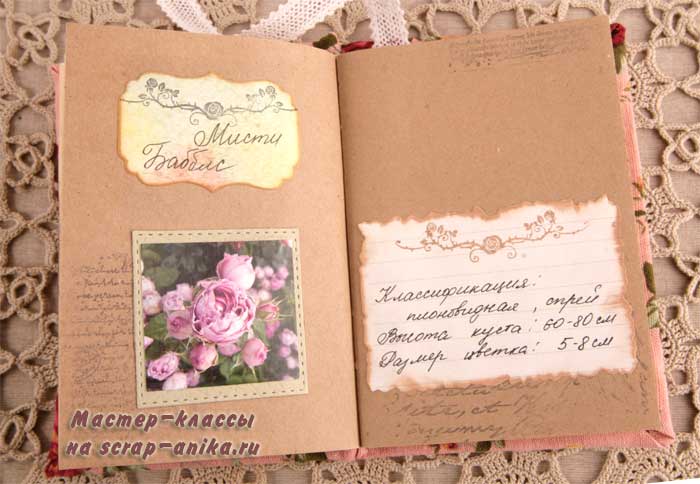 Мисти бабалс, Мисти, розы бабблс, красивые розы, каталог роз