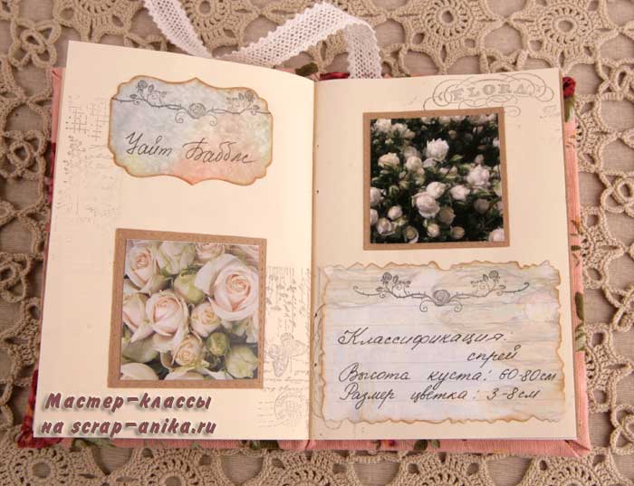 уайт бабблс, розы бабблс, розы скрап, красивые розы, каталог роз