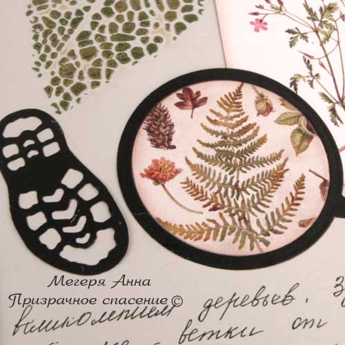 ботаника, ботанический стиль, срапдетали, скрап ботаника, скрапстранички