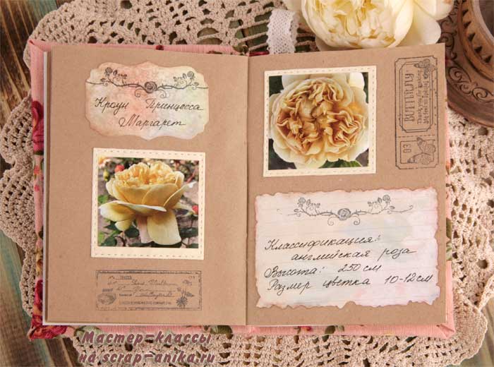 розы, каталог роз, скрапбукинг розы, блокнот по розам, скрап мастер класс, для новичков