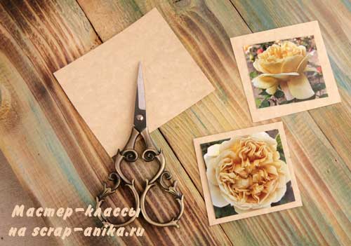 скрапбукинг для начинающих, скрап, скрапить, мастер класс, подложка, розы