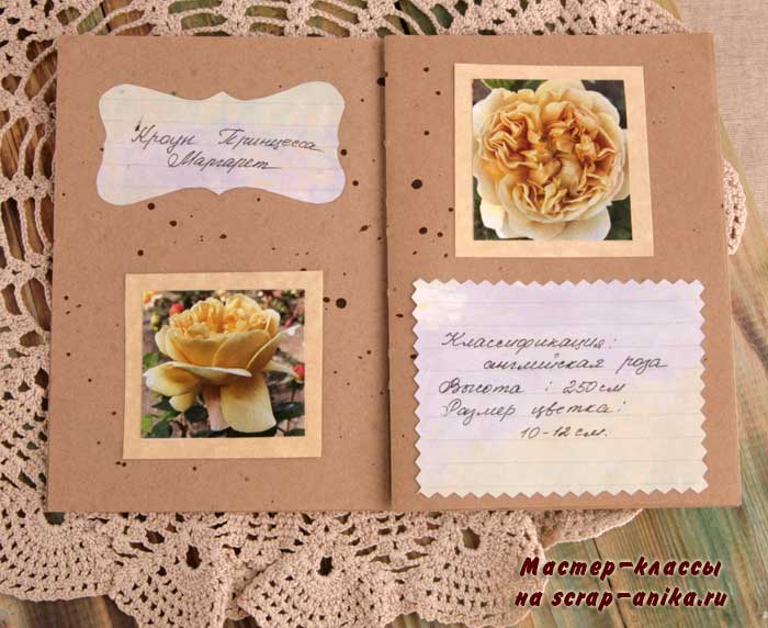 скрапбукинг, как оформить каталог, каталог по розам, своими руками